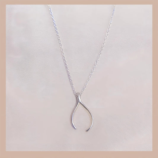 Sterling Silver Wishbone Necklace The Cole Collection